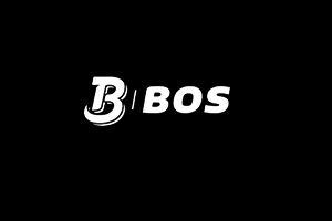 bos global logistics logo