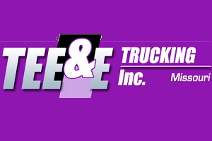 tee and e trucking logo
